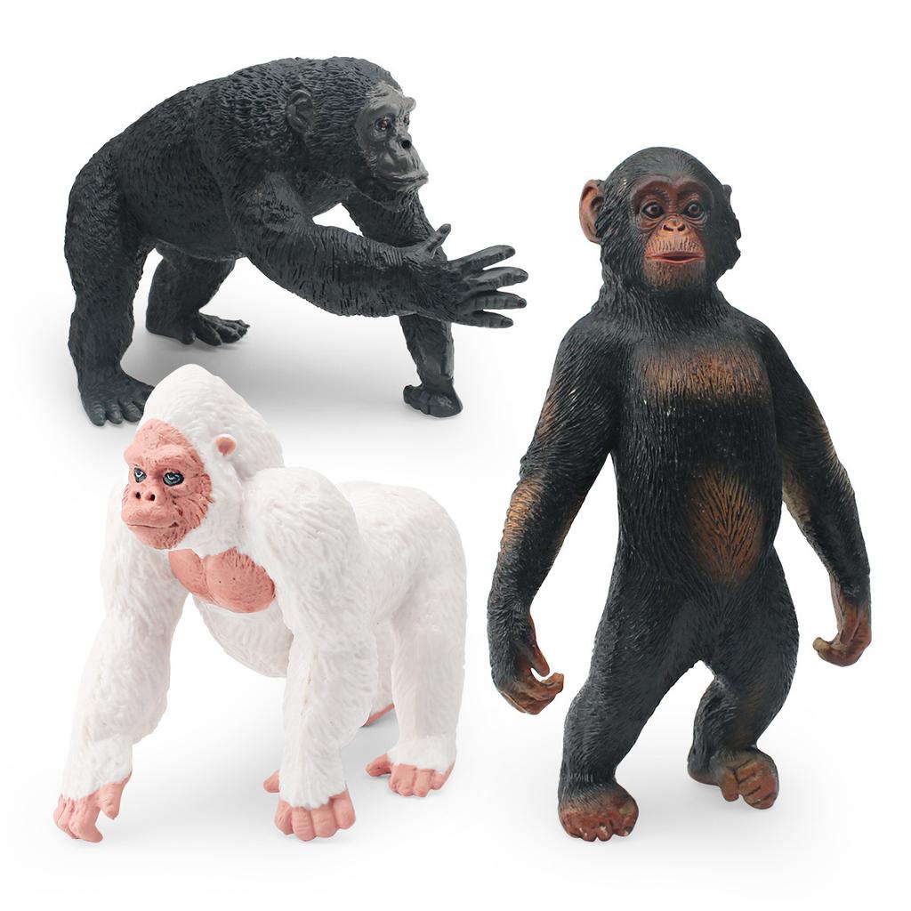 Supply Simulation Forest Animals 3 Types Of Orangutan Model White Orangutan Chimpanzee Solid Static Ornament Toys