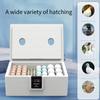 24-hour Thermostatic Incubator Chick Incubator Small Poultry Egg Chicken Turning Poultry Brooder Biomimetic Waterbed Incubator