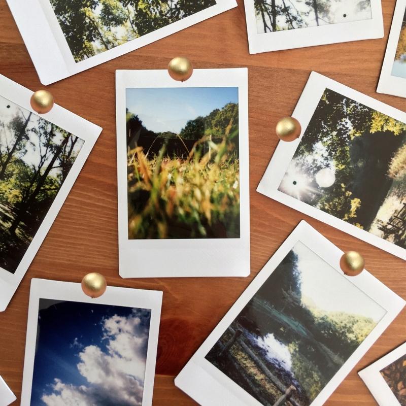 50pcs Minimalist Cork Board Pins Wood  Pushpin Wood & Metal Push Pins Simple Installation for Long Service  Use