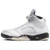 Air 5 Retro White Black Мужские кроссовки Sail Metallic-Silver DD0587-110