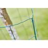Agrafes grillage - RAPID - VR16 Vert - Pose de clôture - Blister 1390 - (40108800)