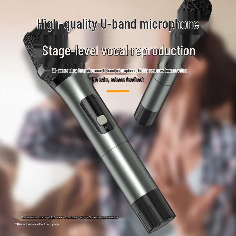 Philips SD100 Portable Outdoor Bluetooth Speaker with Dual Microphones