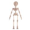 3D Skeleton Joints Refrigerator Magnet Halloween Printed Articulated Gothic Skeleton Magnetic