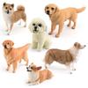 Simulation Animal Dog 6 Models Golden Retriever Teddy Shepherd Shiba Inu Corgi Pet Famous Dog Ornament Toy