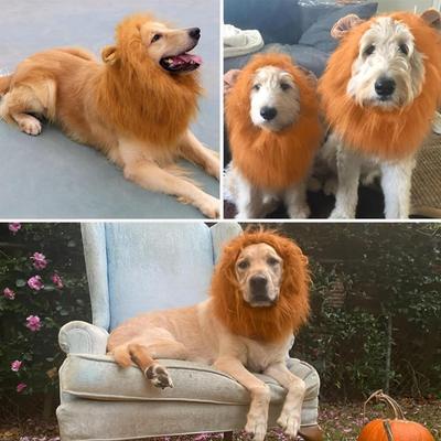 1 шт. Милая одежда для косплея домашнего питомца, грива льва для костюмов собаки, реалистичный парик льва для собак средних и крупных пород с ухом, аксессуары для питомца