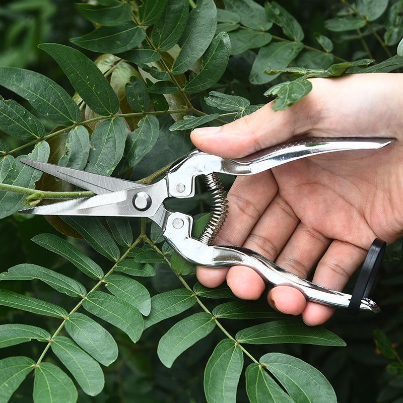 Portable Stainless Steel Pruning Shears Sharp Blades Non-slip Handles for Travel Camping Gardening Plant Pruning