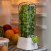 Бутылка для консервирования овощей Кухонный ящик для свежих продуктов Холодильник Контейнер-капсула для зелени Сохраняет свежесть зелени/кинзы