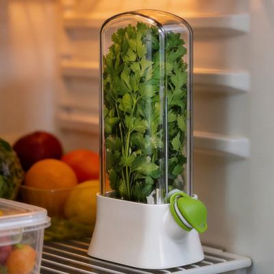 Бутылка для консервирования овощей Кухонный ящик для свежих продуктов Холодильник Контейнер-капсула для зелени Сохраняет свежесть зелени/кинзы