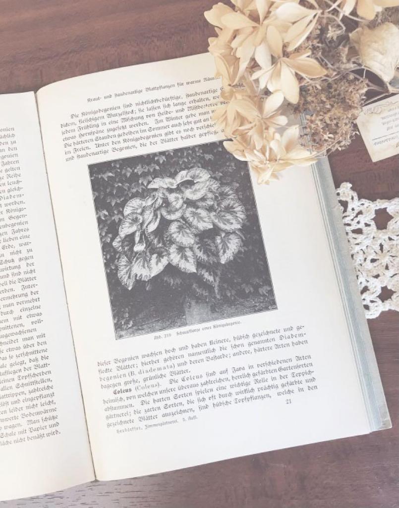 [USED] Antique books