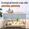 High-Definition Eco Turtle & Crab Tank: Transparent Desktop Aquarium for Living Room