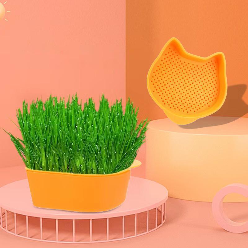 Mint Cat Grass Pot Soilless Hydroponic Lazy Cat Grass Planting Box Catnip Promote Digestion Cat Snacks Planting Container Tools