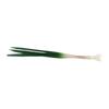 PU Simulation Vegetable Realistic Imitation Scallions Model Artificial Green Onion  Table