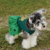 Pet Dog Clothes Dog Cat Irish Skirt Trefoil Mesh Explosion