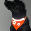 Anti accidental Pet Reflective Scarf Anti-lost Dog Saliva Towel Pet Drool Scarve  Pet Collars