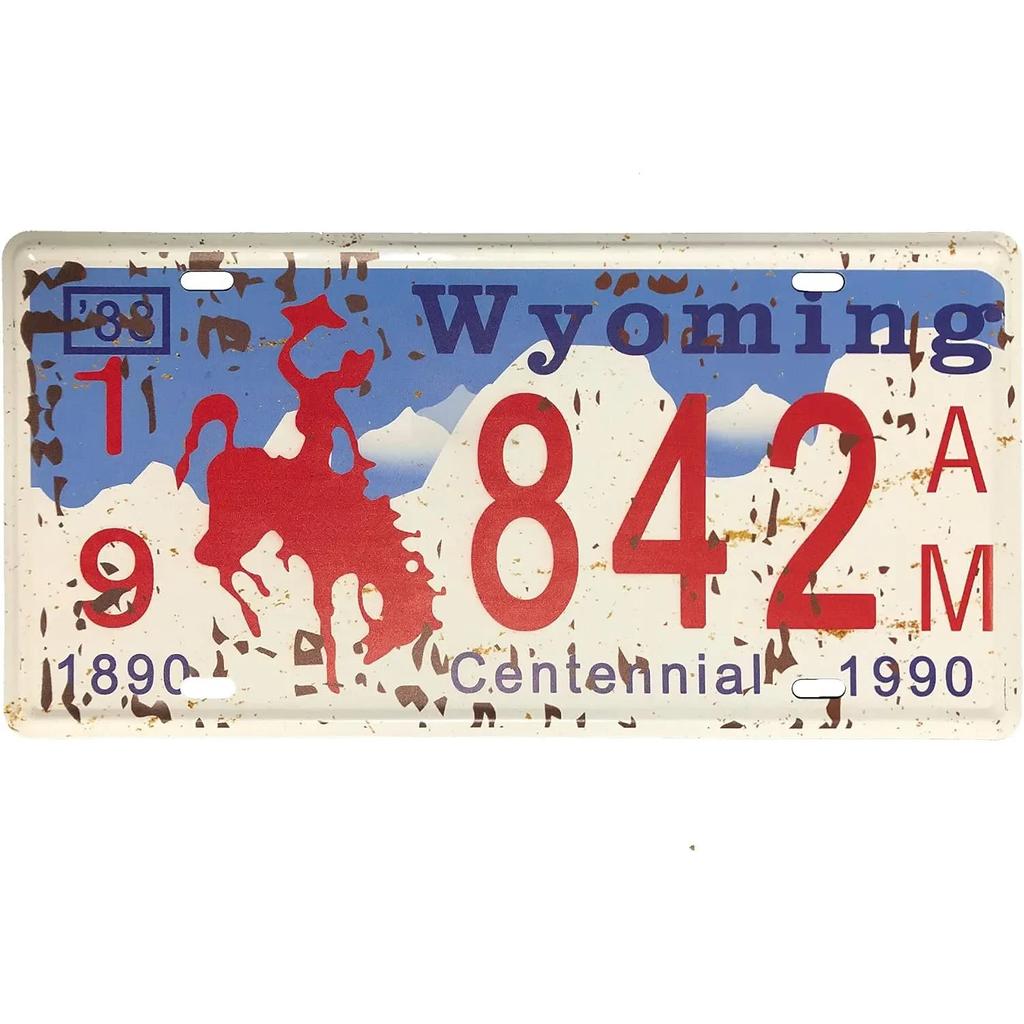 Винтажный номерной знак, ржавый металлический знак, передняя часть автомобиля, персонализированный номерной знак, новинка, старый номерной знак, декор для гаража, бара, клуба, кафе