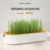 Cat Grass Box for Hairball Removal and Digestion - Catnip Nutrients for Stomach Health and Snacking