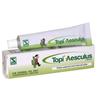Dr Willmar Schwabe India Homoeopathic Topi Aesculus 25gm Cream For Painful