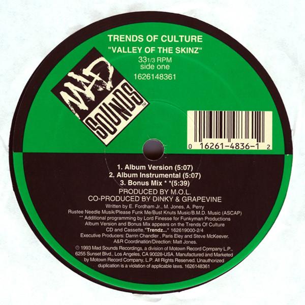 12-дюймовая пластинка TRENDS OF CULTURE - Valley Of The Skinz 1626148361 Mad Sounds Reco 1993 US Rap & Hip-Hop/R&B Б/у