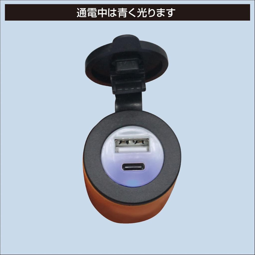 BMO JAPAN 40B0037 USB-разъем 2 порта с кабелем типа «крокодил» (Тип-A/Тип-C)