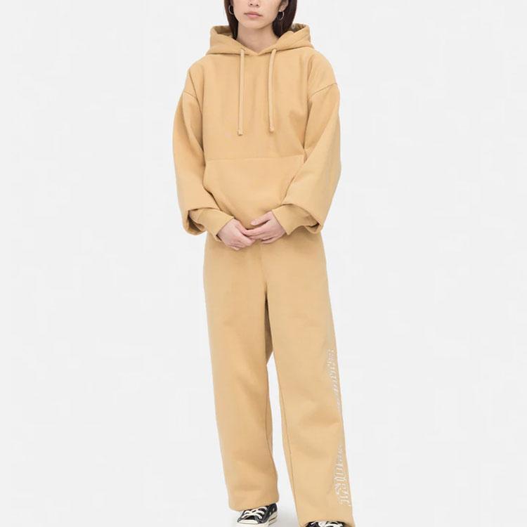 Stussy Back Hood App. Hoodie 118472