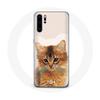 Чехол для Huawei P30 pro сомалийская порода кошек
