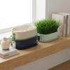 Prevent Overflow Hydroponic Planting Tray Removable Hydroponic Cat Grass Box  Cat Snacks