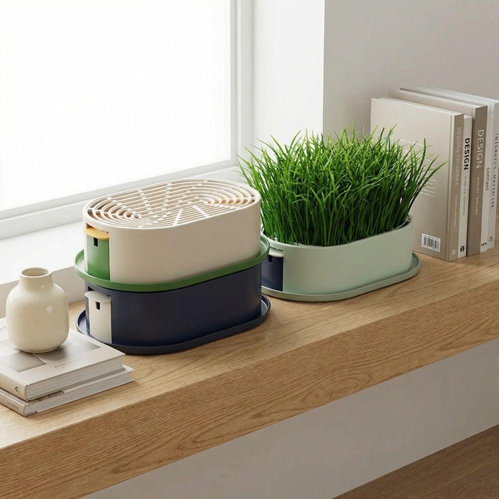 Prevent Overflow Hydroponic Planting Tray Removable Hydroponic Cat Grass Box Cat Snacks