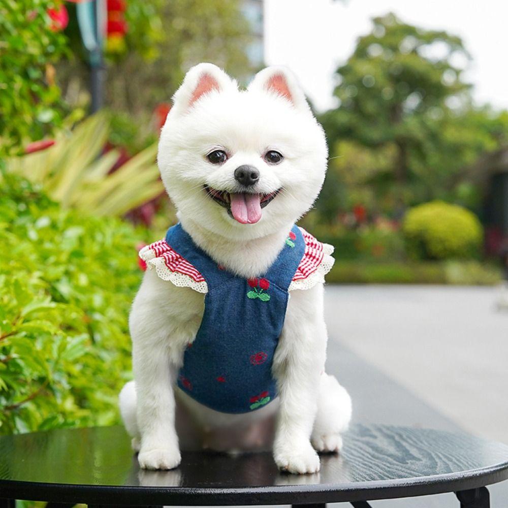 Fashion Trendy Denim Cherry Pet Dog Skirt Breathable Mesh Soft Vest Dog Denim Dress Washable Lace Cat Clothes Cats Kitten
