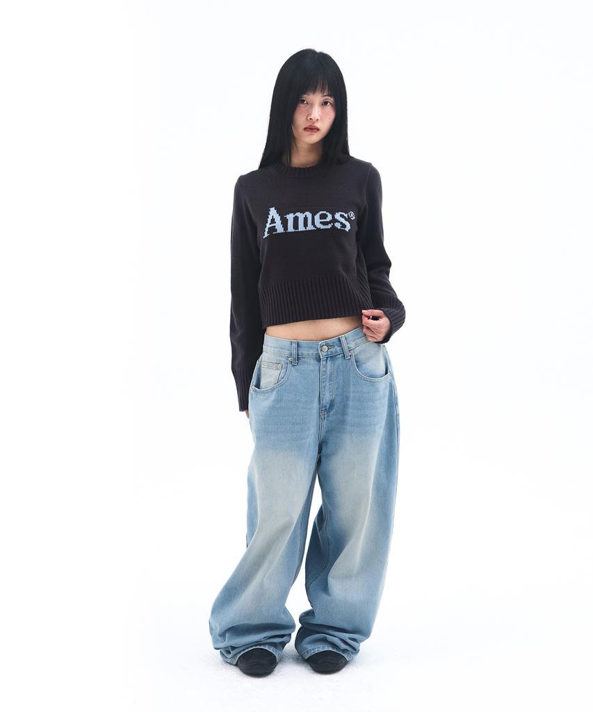 AMES-WORLDWIDE Basic Pullover Knit Charcoal