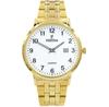 Festina Watch F20513-1