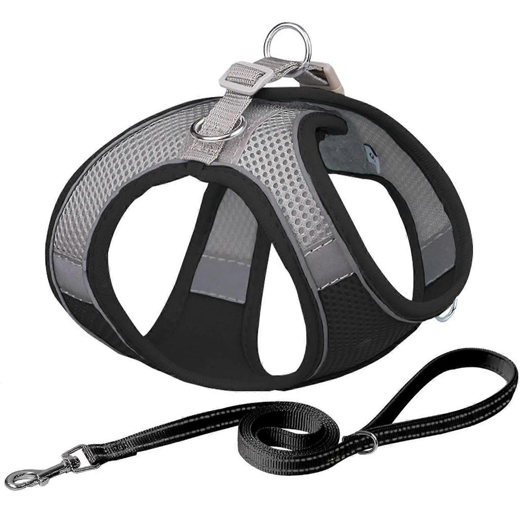 No Pull Dog Harness & Leash Set, Step-in Adjustable Vest with Padding for Hot Weather, Soft Handle Leash, Easy On for Small & Medium Dogs, Pure Pink