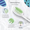 Philips HX2462 Smart Sonic Electric Toothbrush