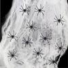 Halloween Decoration - Stretchable Spider Web 60g - 30 Fake Spiders