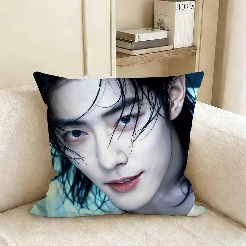 Xiao Zhan Sean Various Sizes Square Pillow Case For Car Home Bedchamber Decor