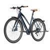 Fafrees F700W Electric Bike, 250W Motor, 36V 10Ah Battery, 9-speed