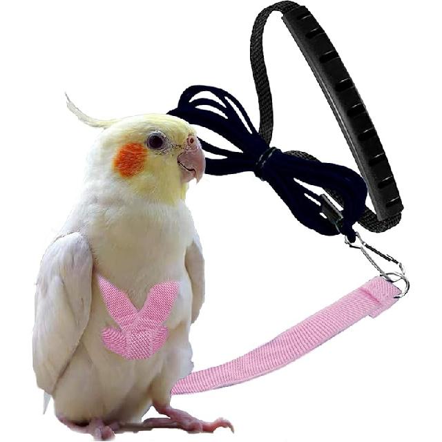 Шлейка и поводок Dnoifne для домашних попугаев и птиц, Регулируемая конструкция для тренировок, Защита от укусов, Птичья нейлоновая веревка с милым крылом для попугаев, Подходит для Алых,