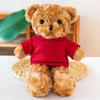 Милая плюшевая кукла-медведь, которую можно носить, с логотипом, для мероприятий и подарков