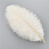 10Pcs/Lot 25-30Cm Ostrich Feathers For Crafts Party Decoration Jewelry Creation Natural Feather For Needlework And Handicrafts