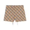 Burberry Check Printed Drawstring Shorts 81069431