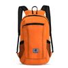 20L Lightweight Portable Foldable Backpack Waterproof Backpack Folding Bag Brand New