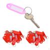 100 Pieces Keychains Plastic Key Rings ID Tag Name Label Tags Locker