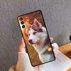 Чехол для телефона с изображением щенка хаски Для Samsung Galaxy S26 S25 S24 S20 S21 S22 S23 Ultra S10 Plus S24 FE S25 FE