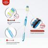 Colgate Clean Toothbrush 6-Pack