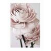 Картина на холсте с цветком, украшение на стену, скандинавские цветочные принты, картины с розовыми розами для дизайна дома, современное украшение для дома без рамки