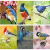 Новый 5D DIY алмазная живопись птица Алмазная вышивка животные вышивка крестиком полная круглая дрель ремесла домашний декор ручной подарок