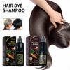 100ML 3-in-1 Hair Color Shampoo Ammonia-Free Herbal Ingredients Moisturising Protecting Hair Black Hair Dye