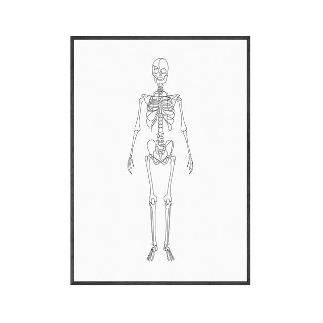 Анатомический скелет, одна линия постеры и принты, анатомический рисунок сердца, иллюстрации, холст, картины для подарка, декор для клиники