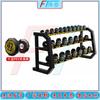 Fengta Fixed Steel Dumbbell Set with Rack