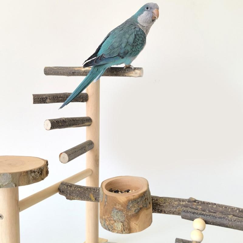 Stable Pet Parrot Training Stand Parrot Bird Training Stand Bird Cage Perch with Feeding Cups Swing Standing Wood Toy