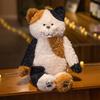 Кошки плюшевые куклы-ножки Чай Рис Кот Мягкие игрушки Мягкие плюшевые игрушки для девочек-подружек Подарки на день рождения Рождество